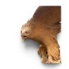 10815 5 socha orel teak 153x130x256