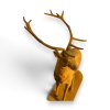 GS00685%20%287%29